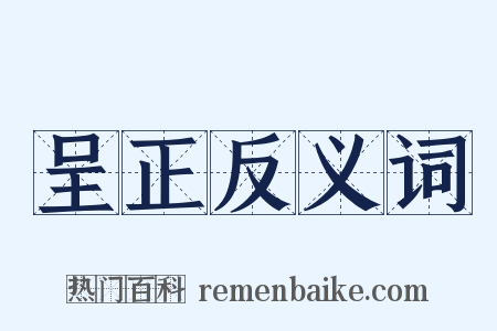 呈正反义词是什么意思的图片